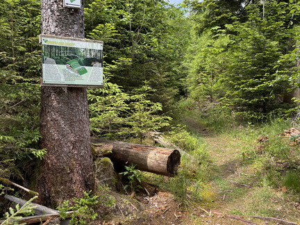 22-05-29 11-48-22 0954